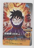 Gohan [EX to NM]